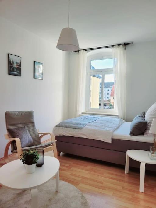 Gemuetliches Helles Appartement เดรสเดน ภายนอก รูปภาพ