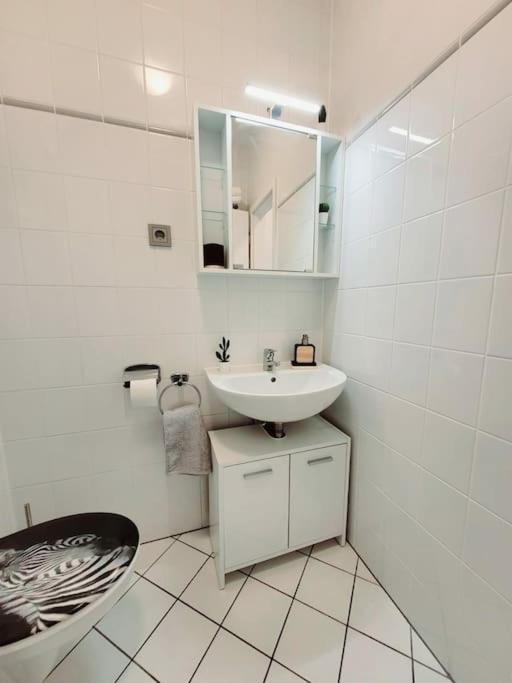 Gemuetliches Helles Appartement เดรสเดน ภายนอก รูปภาพ