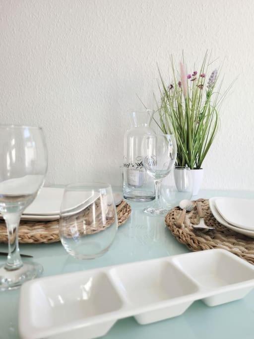 Gemuetliches Helles Appartement เดรสเดน ภายนอก รูปภาพ
