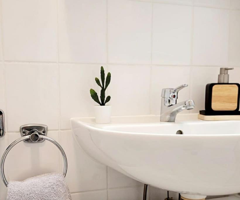 Gemuetliches Helles Appartement เดรสเดน ภายนอก รูปภาพ
